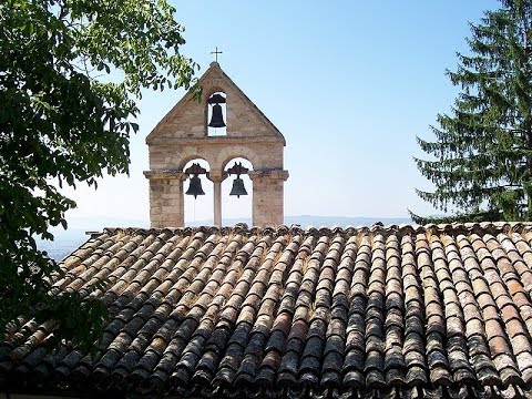 Assisi_Stefano.jpg